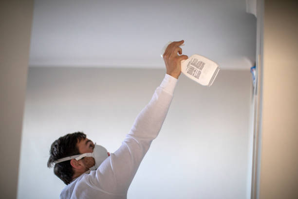 Best Attic Mold Removal  in Pocono Woodland Lakes, PA