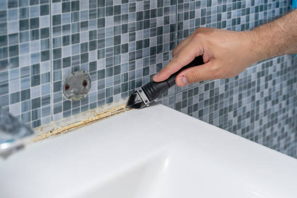 Best Local Mold Removal Service  in Pocono Woodland Lakes, PA