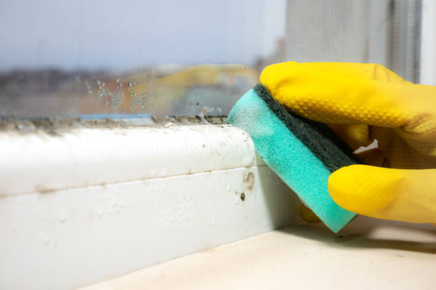 Best Mold Testing  in Pocono Woodland Lakes, PA