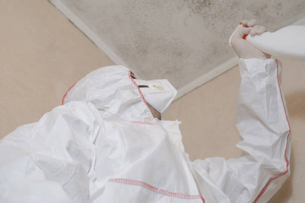 Certified Mold Removal in Pocono Woodland Lakes, PA